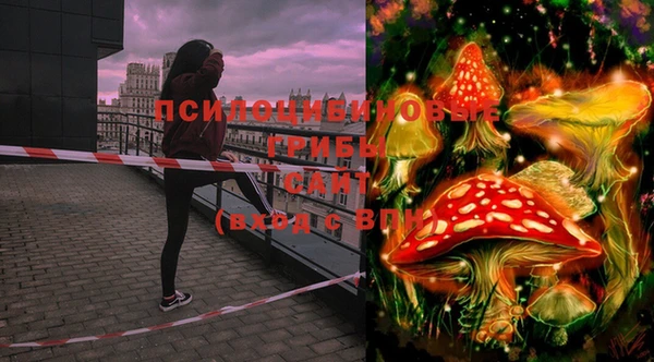 PSILOCYBIN Протвино